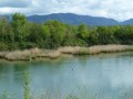 Réserve naturelle du Delta de la Dranse