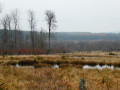 Les Réserves Naturelles des Anciennes Troufferies de Libin