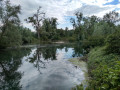 Île et Réserve Naturelle du Rohrschollen à Strasbourg (version courte)