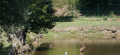 Autour de La Petite-Pierre Autour de La Petite-Pierre