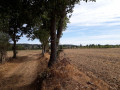 Retour à Dourdan