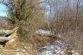 Retour dans les bois