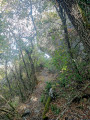 Back on the signposted path after crossing the ridges