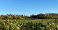 retour sur Rousset les vignes