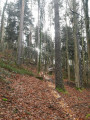 Balade au Col de Fouchy