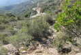 Retour vers le GR51 (point5) Retour vers le GR51 (point5)