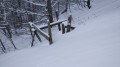 Retour vers le sentier qui mène à Masevaux