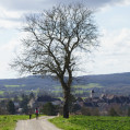 Boucle depuis Marnay par la Combe Gaudin