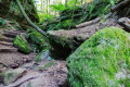Rhätsandsteine in der Schlucht