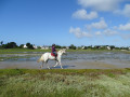 ria du ster