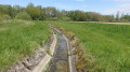 Rigole alimentant le canal