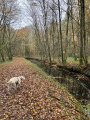 Rigole de Courpalet