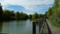 Rigole des Clayes (Bois d'Arcy)