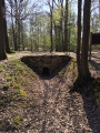 En forêt de Meudon de gare à gare