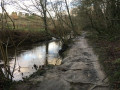 Rive droite du Cens après le passage sous l'autoroute