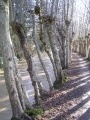 Les hameaux à l'Est de Lorrez-le-Bocage Les hameaux à l'Est de Lorrez-le-Bocage