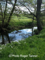 The Aftermath, Alfreton, Pentrich and South Wingfield Revolution walk