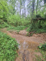 River Crossing