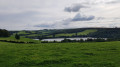 River Fowey from the hill