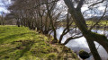 River Tees
