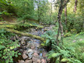 River towards Grey Mares Tail Waterfall