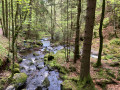 River River