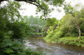 Mill Race Trail - Antrim Town