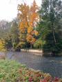 Rivière de l'Yerres
