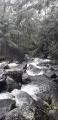 Rivière des Galets à gué
