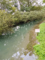 River Scarpe