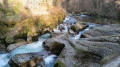 Rivière vallée de la Semine