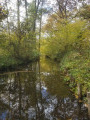 Rivière