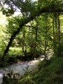 Rivière Rivière