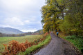 Road to Divach Falls