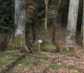 Sentier des Maquisards et Étang des Cailloux depuis Grandrupt-de-Bains Sentier des Maquisards et Étang des Cailloux depuis Grandrupt-de-Bains