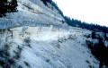 Roche Blanche