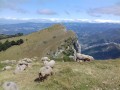 Roche Courbe depuis Le Signal