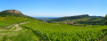 Roche de Vergisson, village de Vergisson et Roche de Solutré. Roche de Vergisson, village de Vergisson et Roche de Solutré.