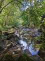 La vallée du Cousin au départ de Magny