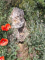 Roche et fleurs