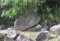 Sur les traces des roches gravées en Forêt de Montravail