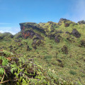 roche volcanique dans la verdure