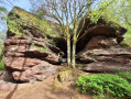 Rocher Albert et Grotte de Danne