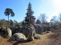 Les Rochers de Cuvier-Chatillon