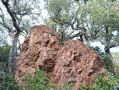 Rocher de rhyolite rouge.