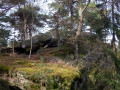 Le Taennchel et ses nombreux rochers