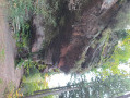 Short tour starting from Petite-Pierre Petit tour au départ de la Petite-Pierre