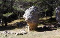 Rocher dinosaure dans la clairière des Résiniers