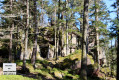 Rocher du Breitberg