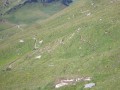 Où sont les marmottes?